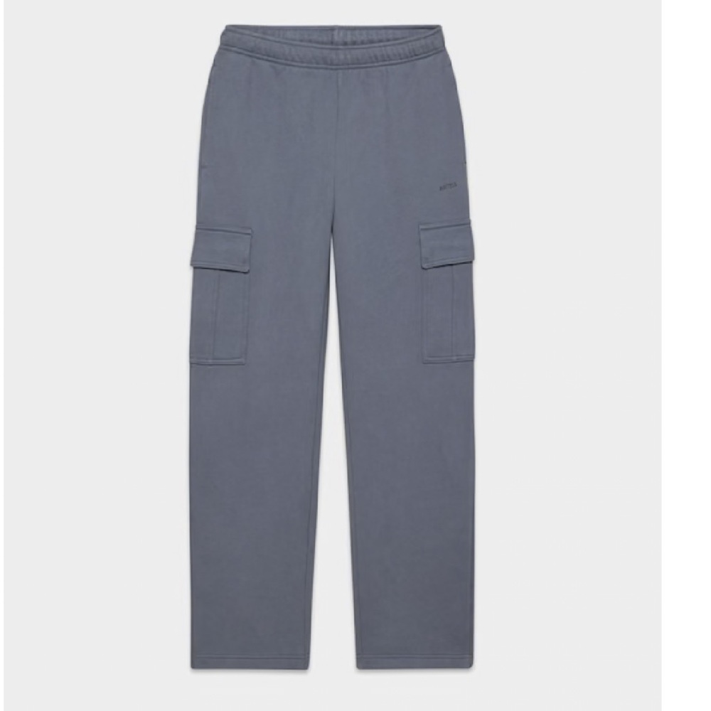 Aritzia Mega Cargo Fleece Pants in Vintage Navy